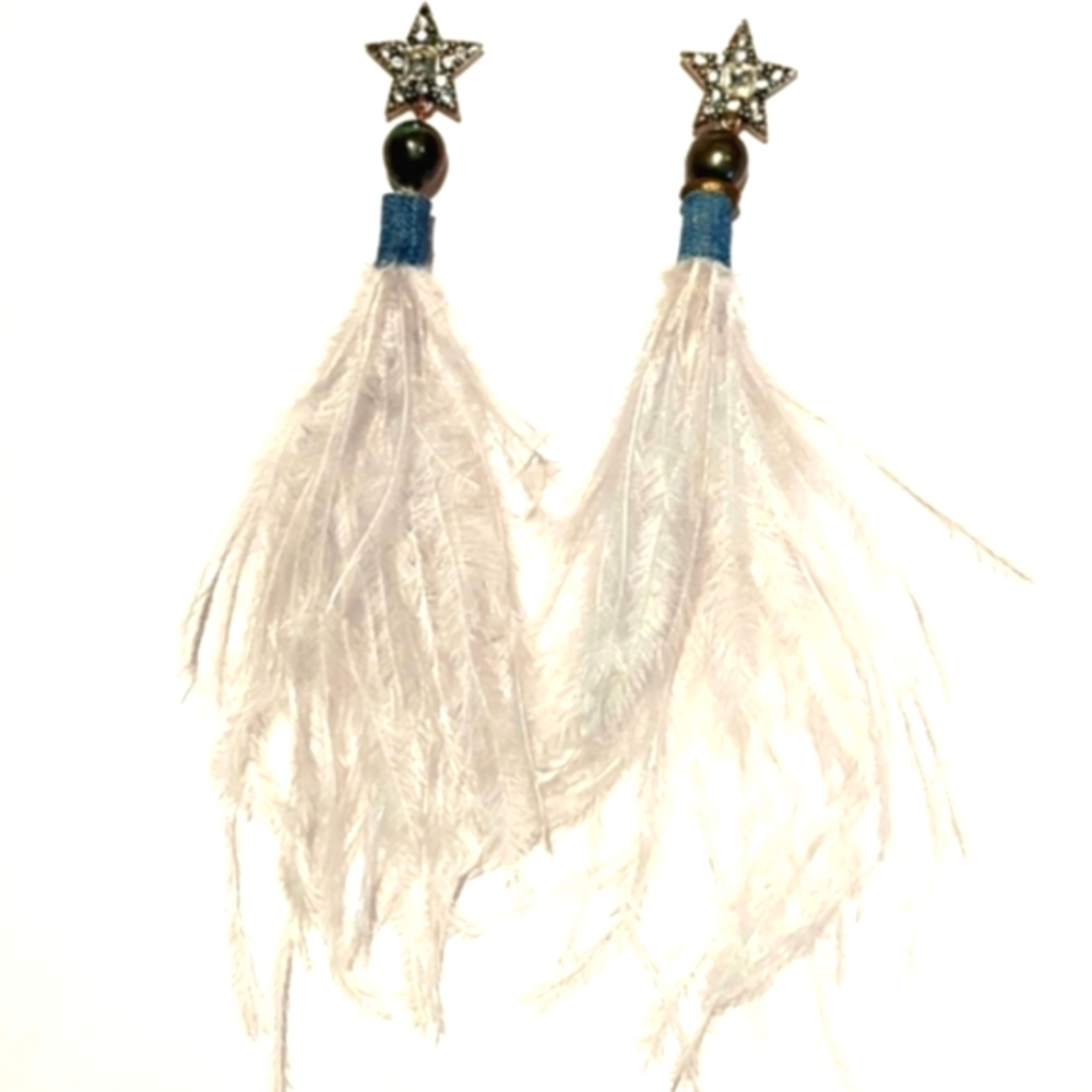 Fabulous Feather & Star Earrings